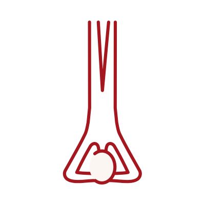 yoga iyengar headstand